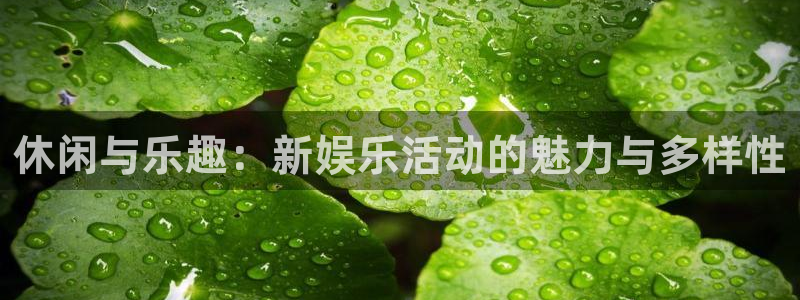 沐鸣2注册：休闲与乐趣：新娱乐活动的魅力与多样性
