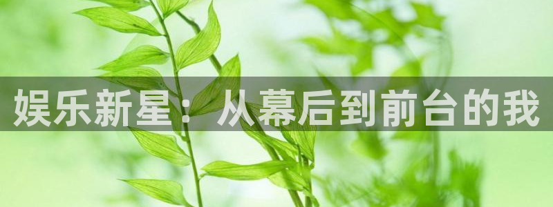 沐鸣平台：娱乐新星：从幕后到前台的我
