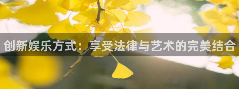 沐鸣官网：创新娱乐方式：享受法律与艺术的完美结合