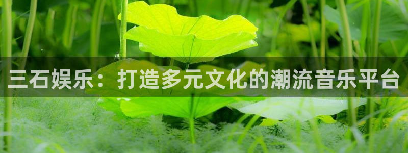 沐鸣2官网：三石娱乐：打造多元文化的潮流音乐平台