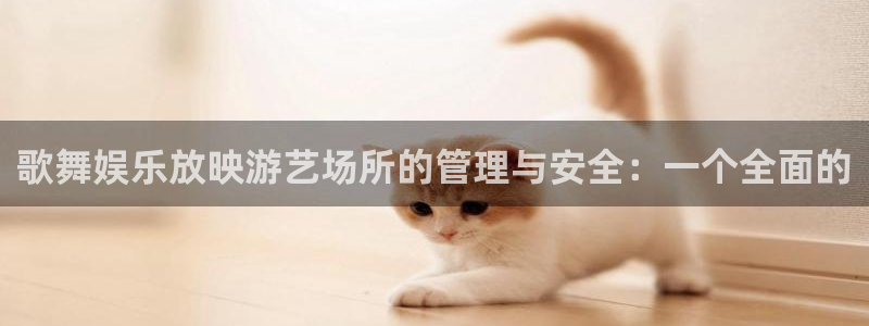 沐鸣2官网：歌舞娱乐放映游艺场所的管理与安全：一个全面的