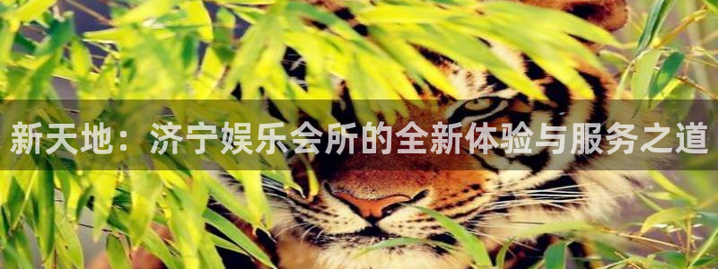 沐鸣：新天地：济宁娱乐会所的全新体验与服务之道